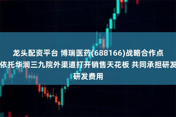 龙头配资平台 博瑞医药(688166)战略合作点评：依托华润三九院外渠道打开销售天花板 共同承担研发费用