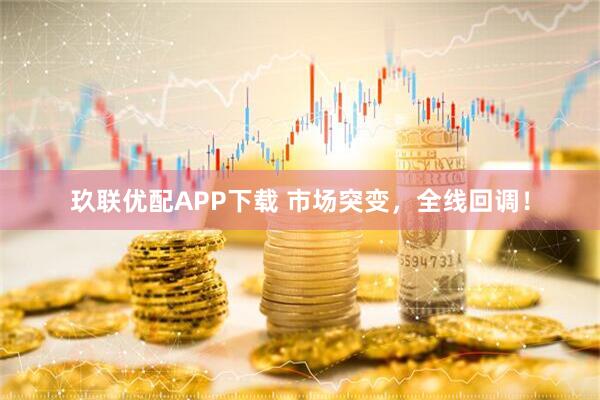玖联优配APP下载 市场突变，全线回调！